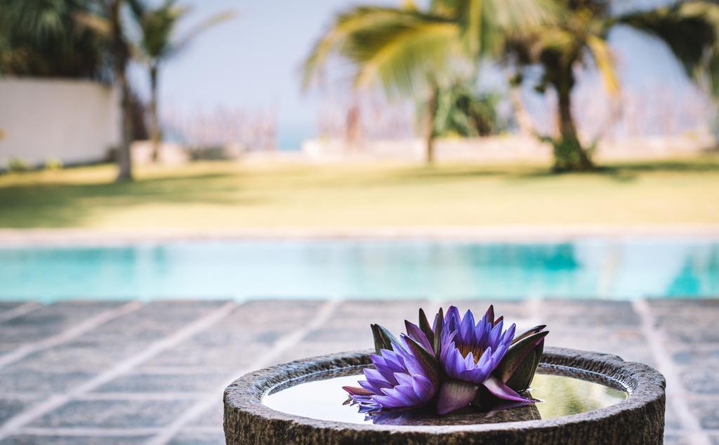 Greenparrot-Villa Ambalangoda (Galle) Exterior foto