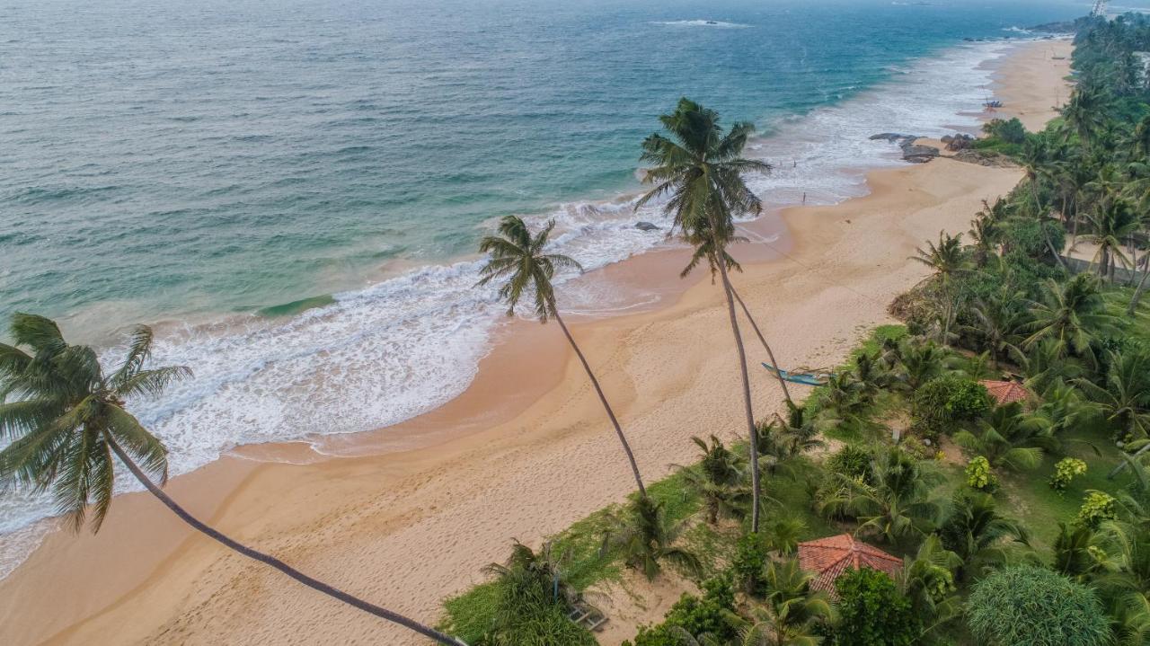 Greenparrot-Villa Ambalangoda (Galle) Exterior foto
